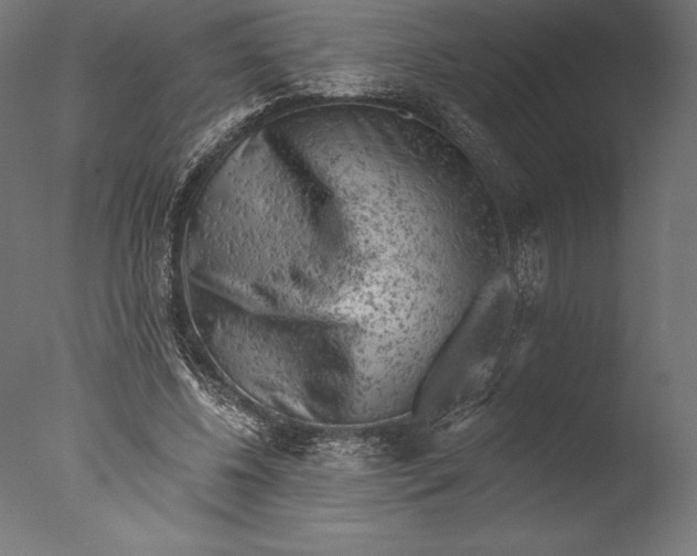 X0000076300540200610201549