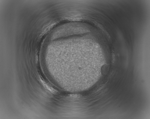 X0000076300541200610201549