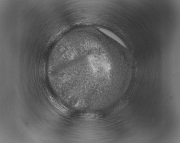 X0000076300542200610201549