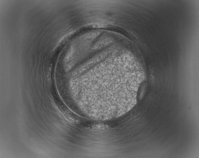 X0000076300543200610201549