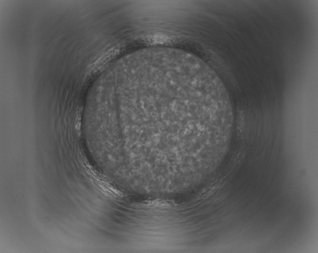 X0000076300545200610201549