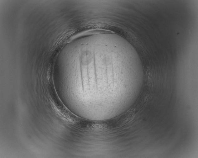 X0000076300546200610201549