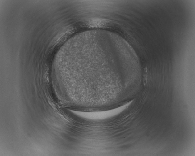 X0000076300547200610201549