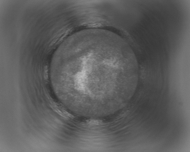 X0000076300549200610201549