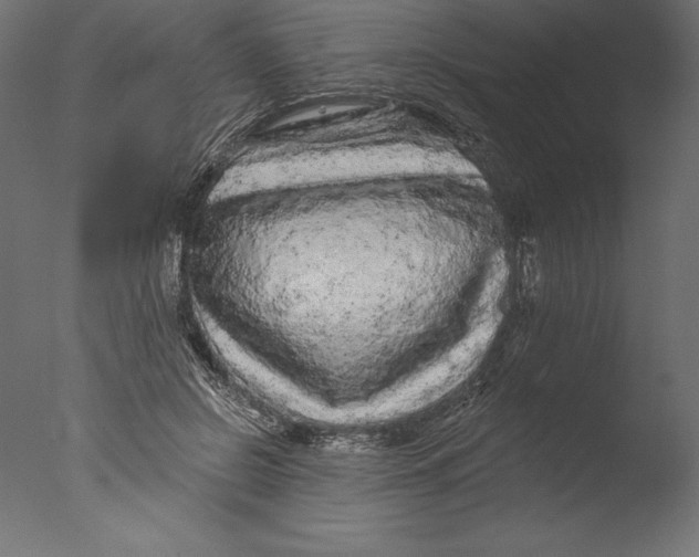 X0000076300550200610201549