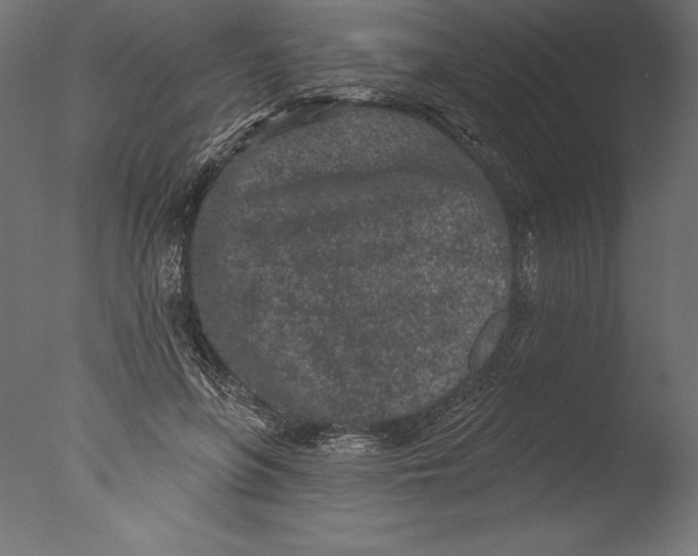 X0000076300551200610201549