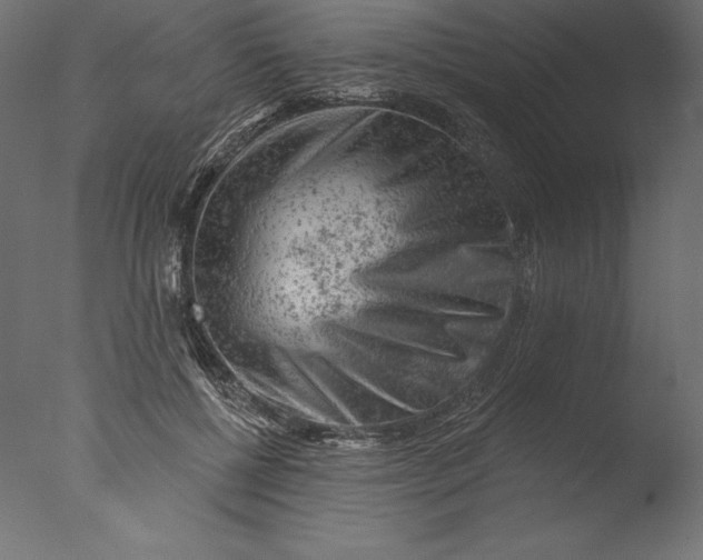 X0000076300552200610201549