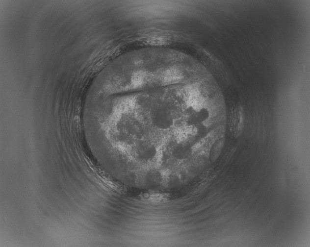 X0000076300553200610201549