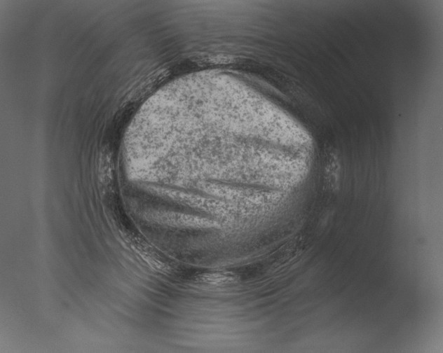 X0000076300555200610201549