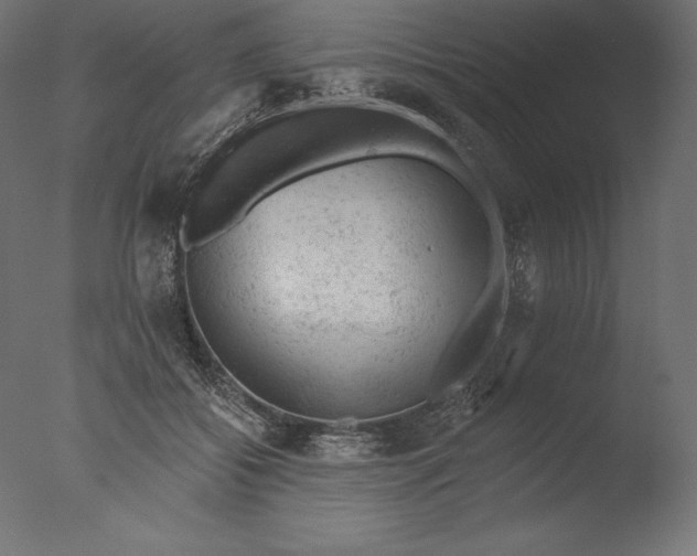 X0000076300556200610201549