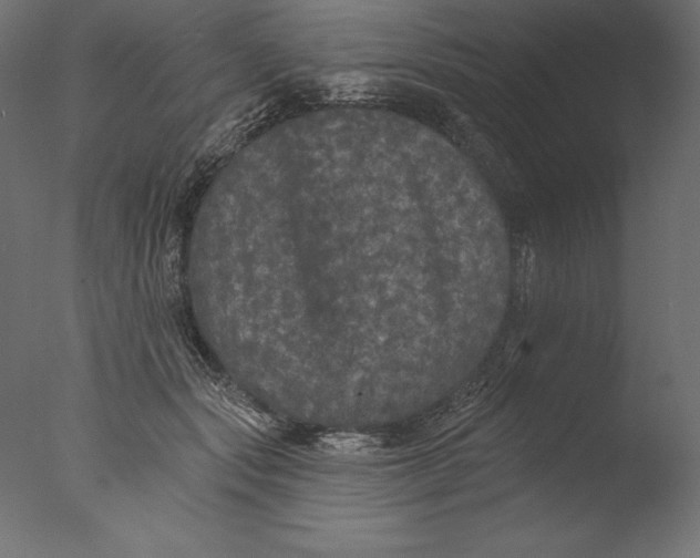 X0000076300557200610201549