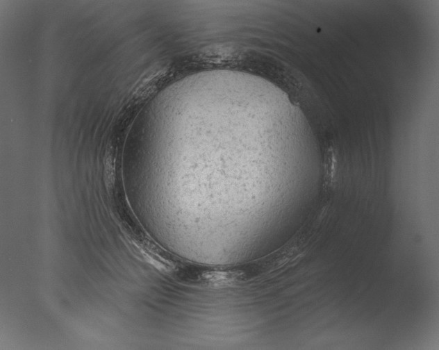 X0000076300558200610201549