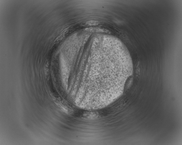 X0000076300559200610201549