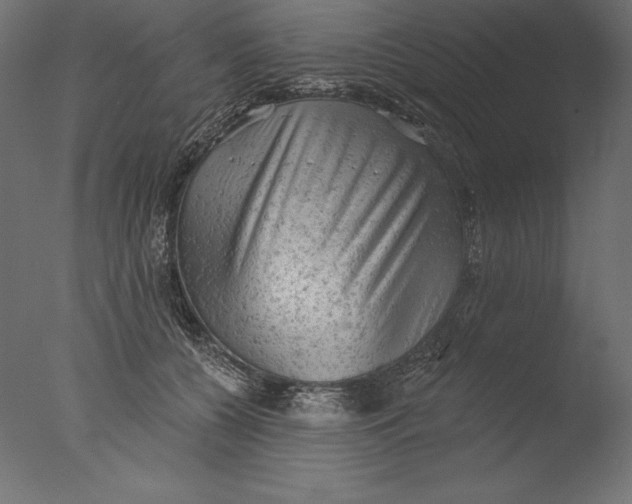 X0000076300560200610201549