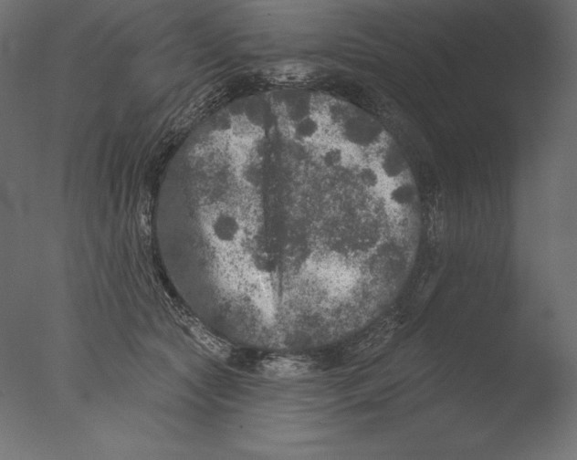 X0000076300561200610201549