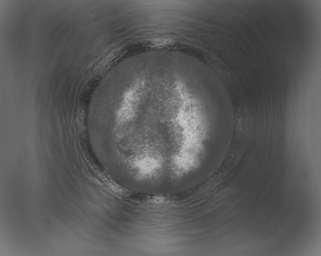 X0000076300565200610201549