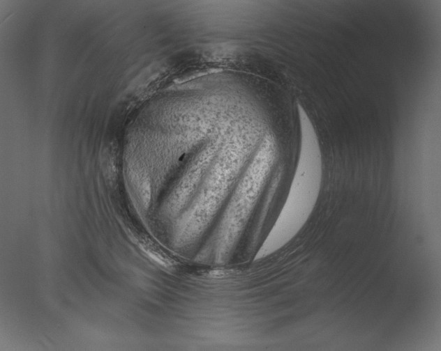 X0000076300566200610201549