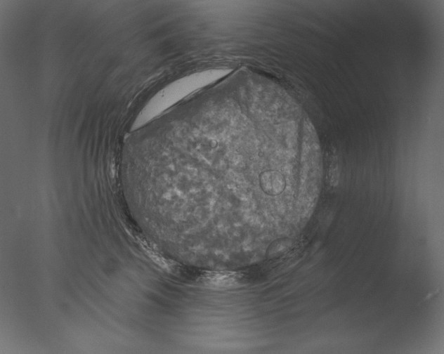 X0000076300569200610201549