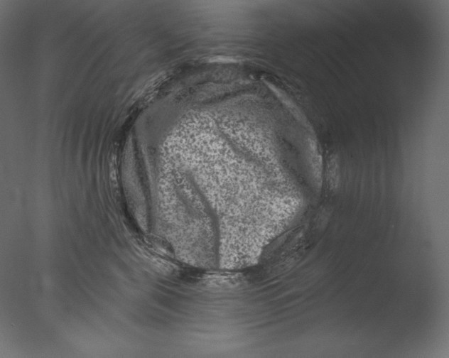 X0000076300571200610201549