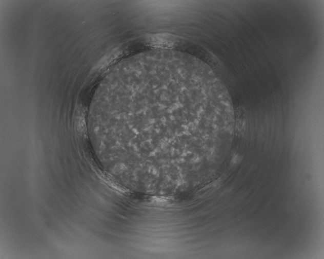 X0000076300573200610201550