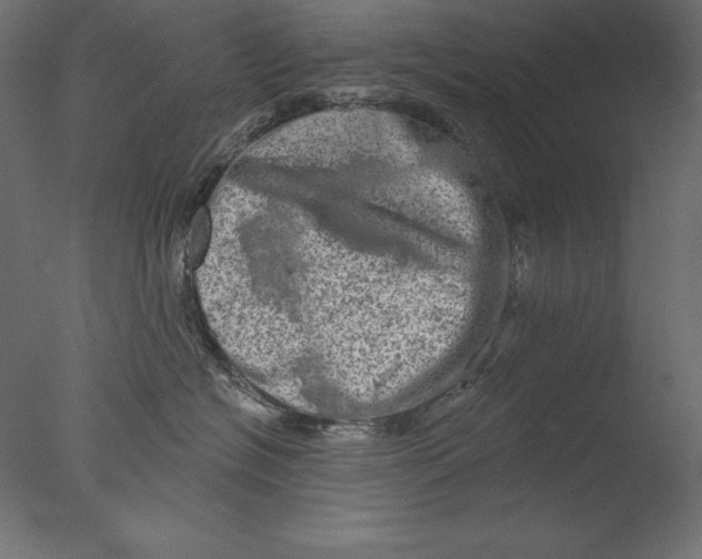 X0000076300574200610201550