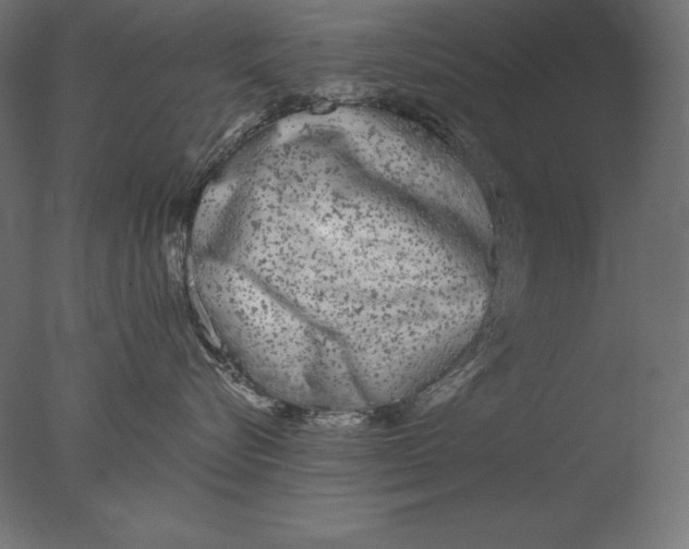 X0000076300576200610201550