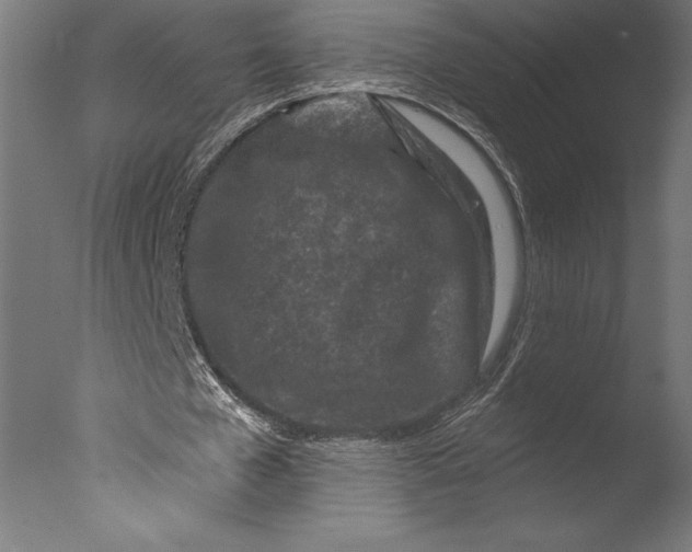 X0000076300577200610201549