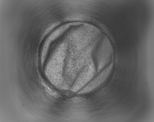 X0000076300578200610201549