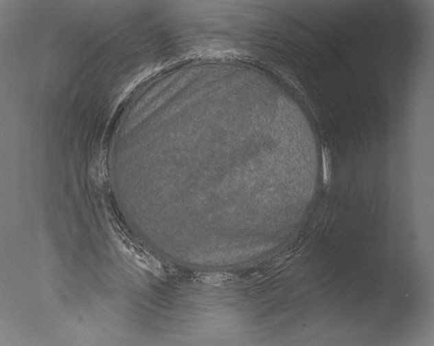 X0000076300579200610201549