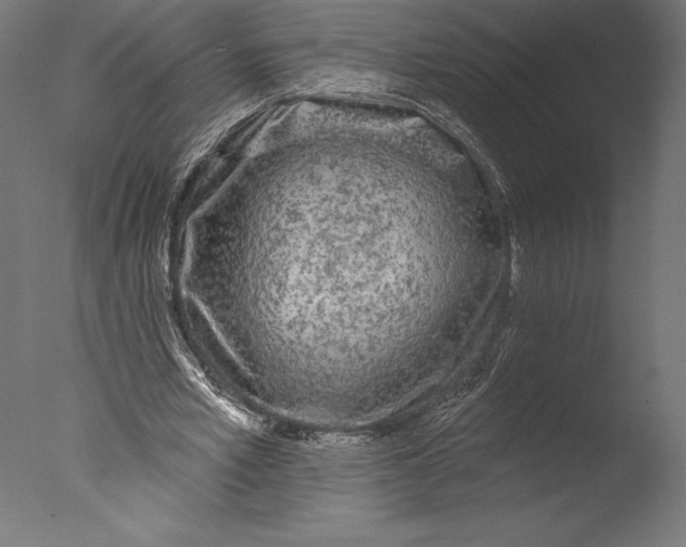 X0000076300581200610201549