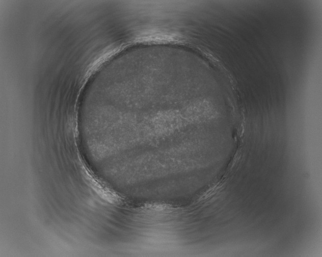 X0000076300582200610201549