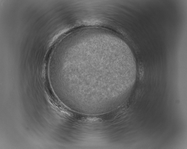 X0000076300583200610201549