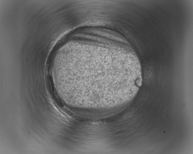 X0000076300584200610201549