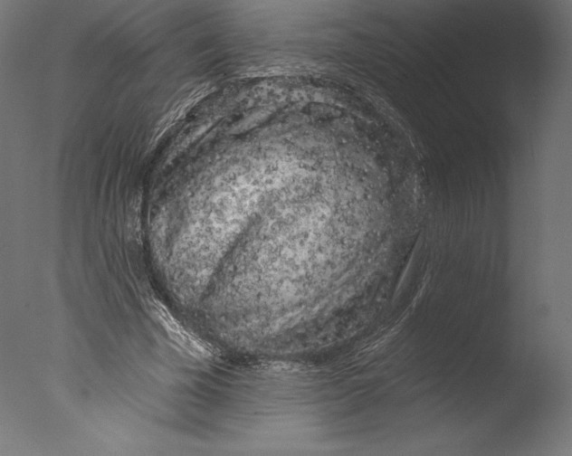 X0000076300585200610201549