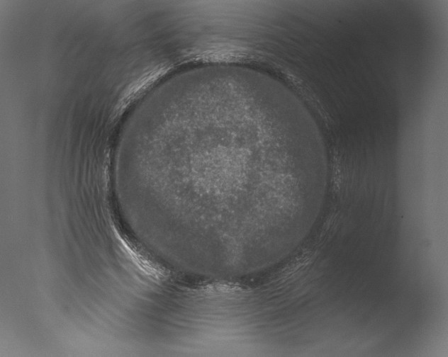 X0000076300586200610201549