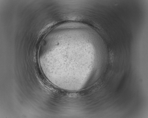 X0000076300587200610201549