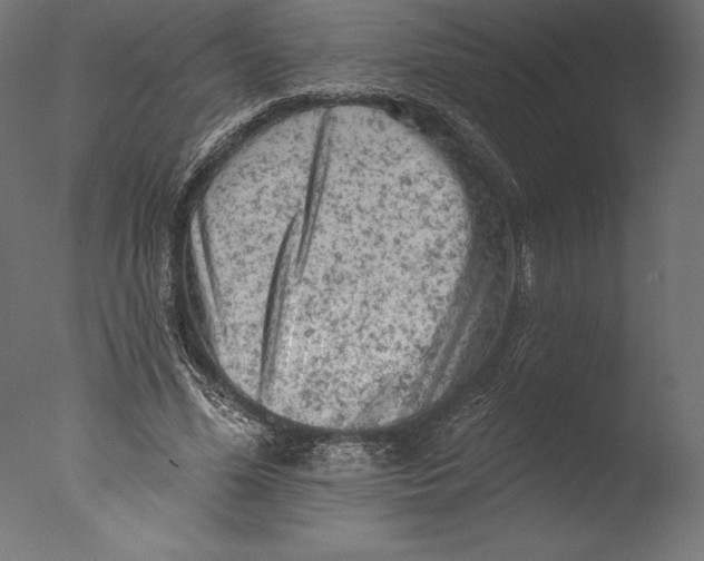 X0000076300588200610201549