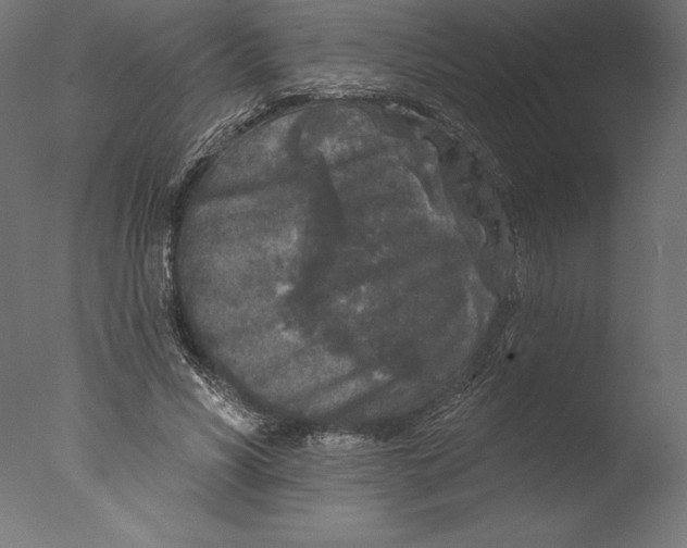 X0000076300590200610201549