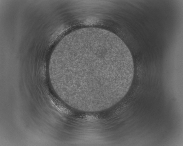 X0000076300592200610201549