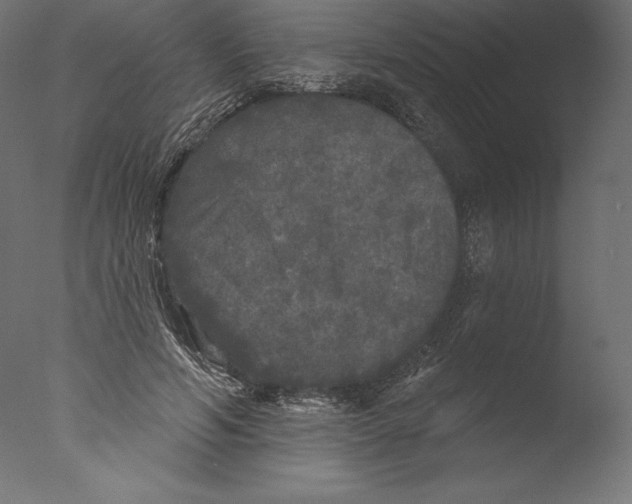 X0000076300594200610201548