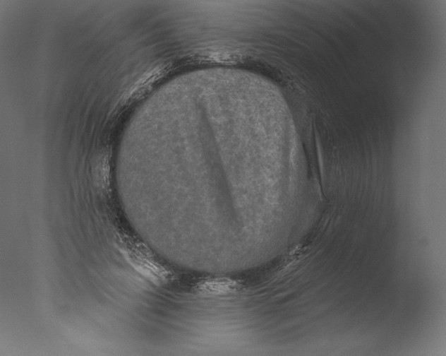 X0000076300595200610201548