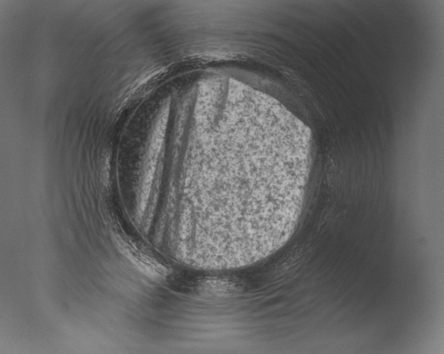 X0000076300596200610201548