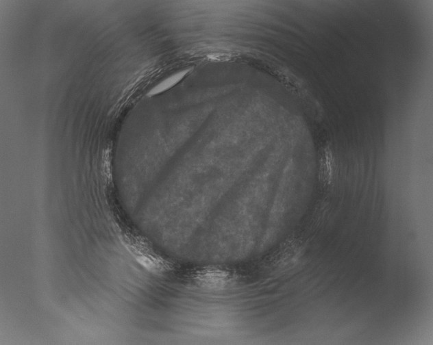 X0000076300598200610201548