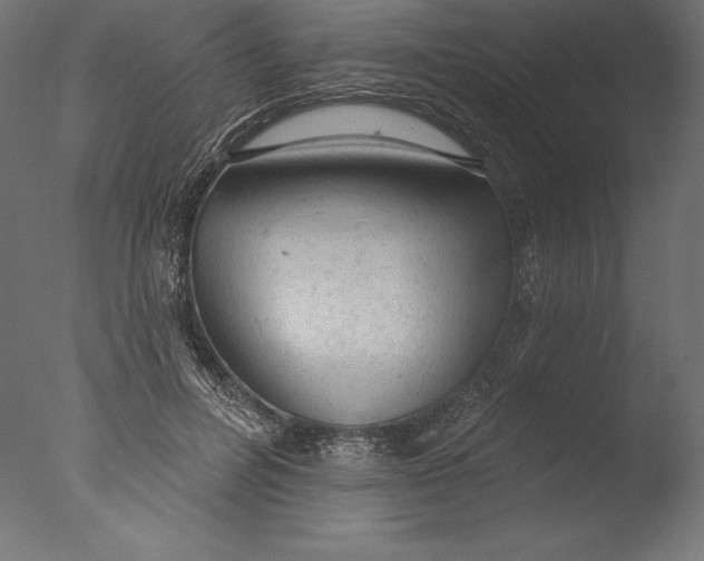 X0000076300600200610201548