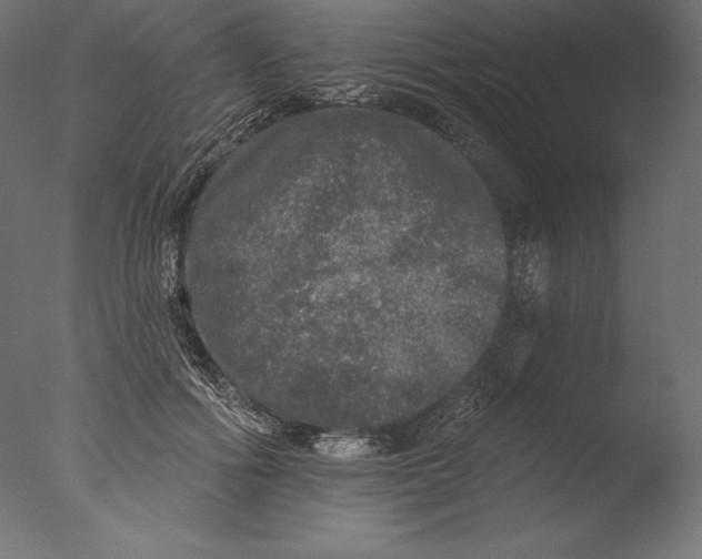 X0000076300602200610201548