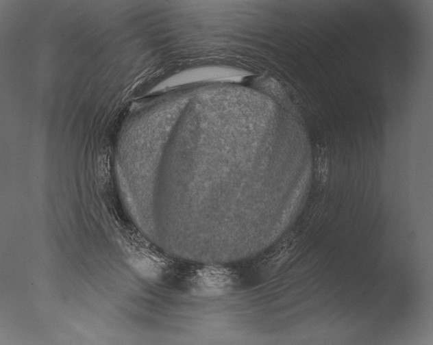 X0000076300603200610201548