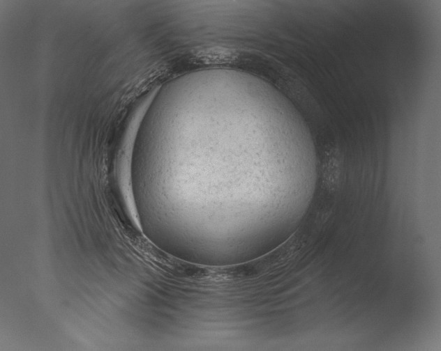 X0000076300604200610201548