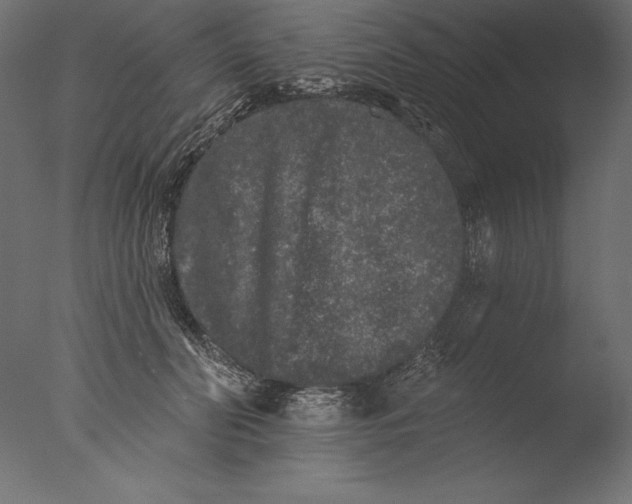 X0000076300606200610201548