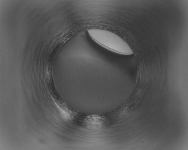 X0000076300607200610201548