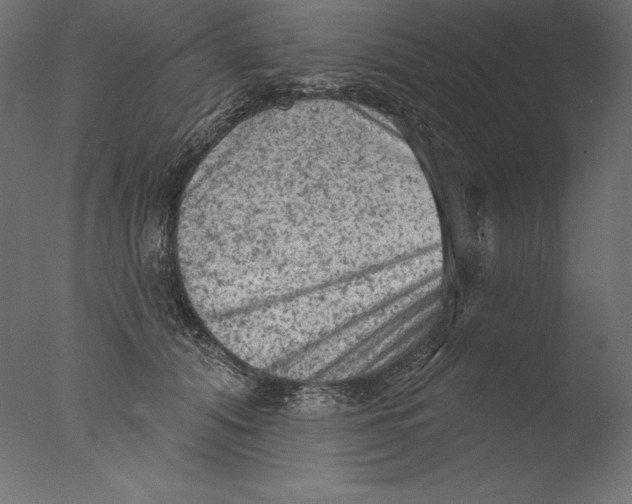 X0000076300608200610201548